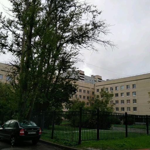 женская консультация кронштадт телефон