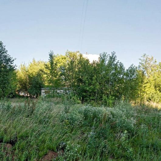 Роддом №6, фото №3