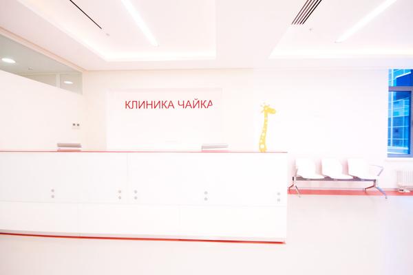 Чайка в Метрополисе