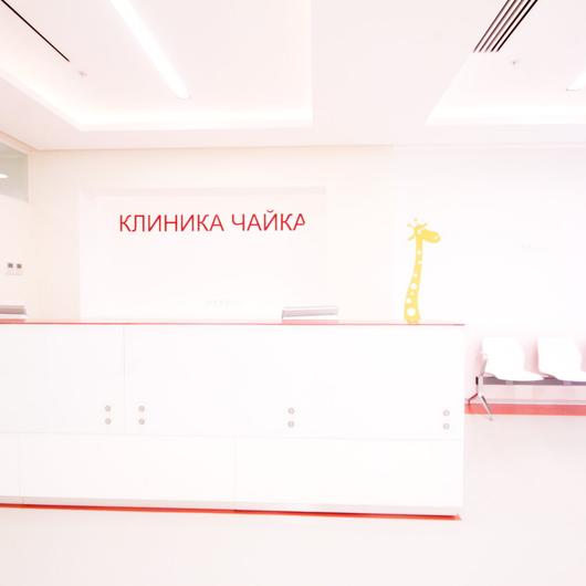 Чайка в Метрополисе, фото №4