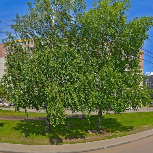 Дентал Арт на Магистральной, фото №2