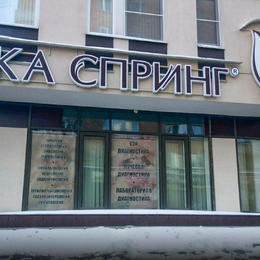 Ника Спринг на Ошарской, фото №2