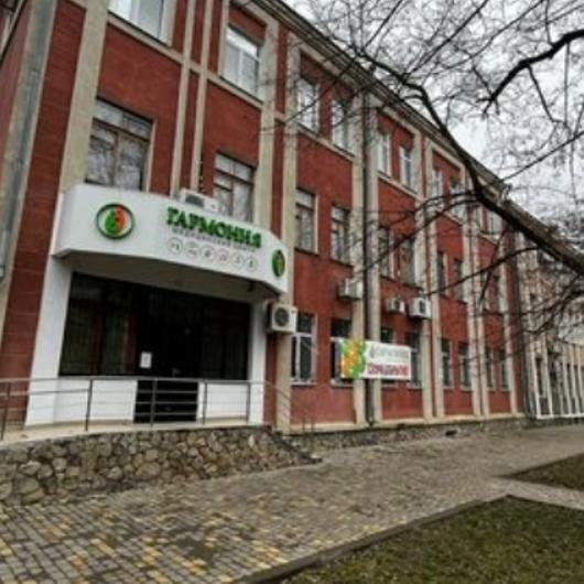 Гармония на Карла Маркса, фото №2
