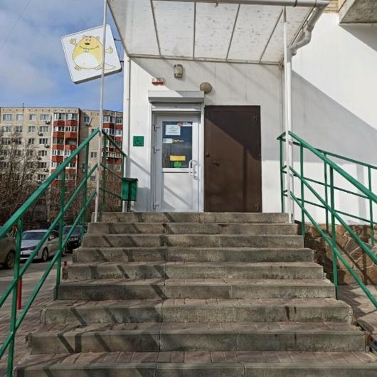 Бобрёнок на Еременко, фото №1