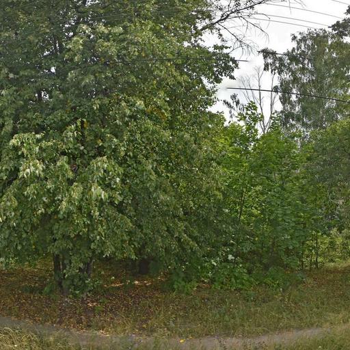 wunydhywp46nc6nho8env6ysiul9zj5azrlpzj67 красное знамя регистратура телефон