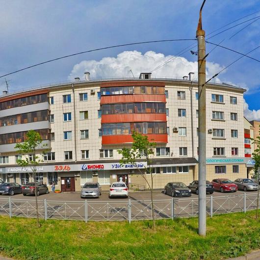 Биомед на Декабристов, фото №2