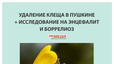 Фото акции